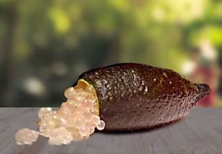 هذة الوصفة حتخليك تبقى مع زوجتك طول الليل!