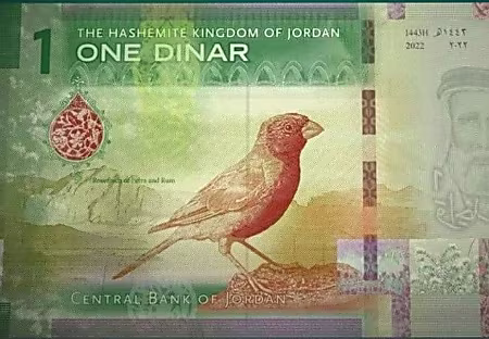 صحيفة عمون : ما قصة الطائر على الدينار الأردني الجديد؟