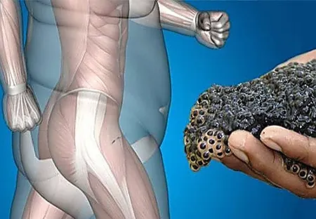 Doctors Shocked: This Simple Trick Melts Belly Fat Overnight! Doctors Shocked: This Simple Trick Melts Belly Fat Overnight!