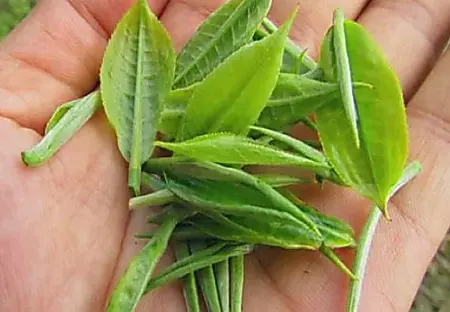 Cardiologist: This Can Clean The Blood Vessels! Cardiologist: This Can Clean The Blood Vessels!