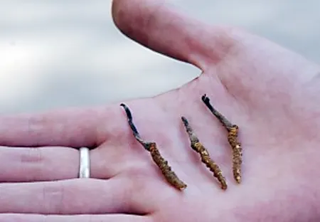 بدون أي آثار جانبية للرجال.. حل فعال 100% للضعف